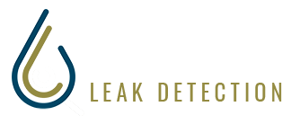 Trace Leak Detection